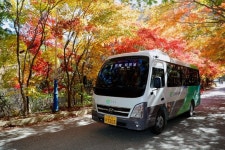 인제지역 65세 이상 어르신 내년부터 시내버스 무료 이용