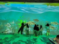 선샤인 밀양 테마파크 내 농촌테마공원 정식 개장