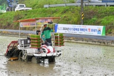 영주시, 815 광복쌀 재배단지 ‘첫 모내기’ 실시