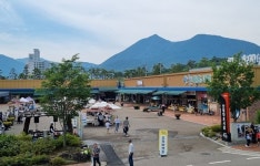 산청군, 약초시장 활성화 안간힘…관광산업 육성 이벤트 추진