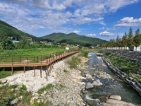 울산 울주군, 작괘천 하천 보행로 개설