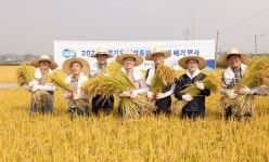 김성중 경기도 행정1부지사, 평택시 경기도 종자관리소 평택분소에서 ‘지역특화품종 벼 베기’ 시연