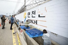 연천군, 민·관·군 함께 군부대 담장 새롭게 단장