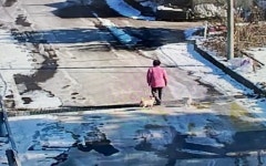 인제署, 한파 속 총력대응 시각장애인 미귀가자 안전구조