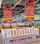 경남도-경남농협, 딸기 소비촉진 행사 추진