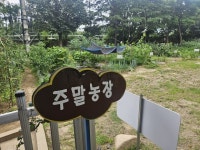 대구공공시설관리공단 북부사업소, 주말농장 무상 분양 실시