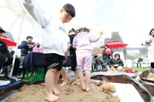 강진군, 제53회 강진청자축제가 열리는 대구면 청자촌 모습