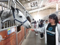 상주 사벌초등학교, 특별한 승마 체험