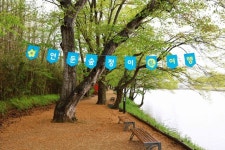 화순 동복면, 숲정이 ‘쉼’, 여행 감동 마무리 내년 향한 새로운 도약