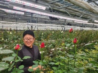 강진군, 장미농장 스마트 LED로 이상기상 대응