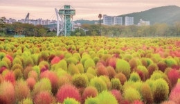 양산시, 지역 관광명소 양산 12경 확정…황산공원 등 4곳 추가