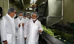 할랄(Hallal), 신이 허락한 음식에 다가가다