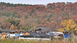 아버지보다 20년 먼저 간 아들 의병장 이야기(경북 영천)