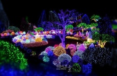 오색별빛 찬란한 우주아침고요수목원