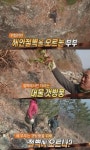 갯방풍으로 천식 완쾌?...약초 산행 부부의 이야기, 약효는?