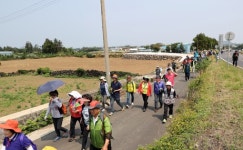 제주도, 4.3길 문화해설사 투입 호평...내년 확대 운영 검토