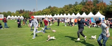쌍용차 2018 안산 펫 페스티벌 후원