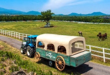 한국마사회 렛츠런팜 목장 나들이 인기몰이