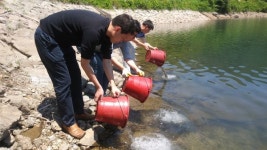 하동지역 저수지 4곳에 어린 쏘가리 방류