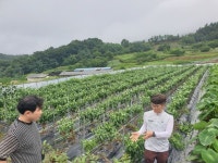 경남농업자원관리원, 무상분양 토종종자 생육현황 현장점검
