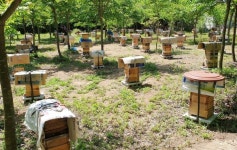 함양군, 양봉업 등록 신청 접수