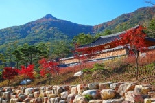 단풍 이불 덮은 산청 동의보감촌