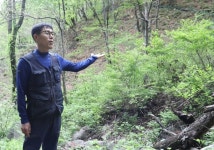 강원산삼산림농업중앙회 | [직격 인터뷰] '산양삼 도사' 강원한국산림농업 박상수대표 "26년 한결같은 삼사랑...제대로된 산양삼(산삼) 알리고파"