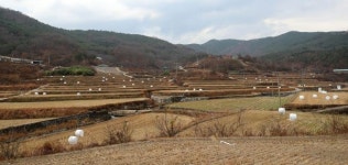 산청군 국내산 조사료 생산 농식품부 지원대상 선정