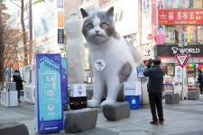 행복로와 의정부역 공원에서 퓨처쇼 2020진행중