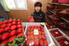 새콤달콤 산청 딸기 메가마트서 만나요