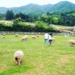 경상남도,산지생태축산농장 지정신규 3개소 추가확정