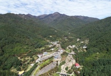 산청군 지속가능한 산림자원 조성 추진