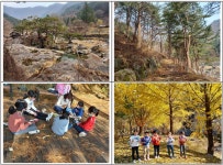코로나 우울증, 연인산 도립공원의 신나는 숲해설 프로그램으로 이겨내요!