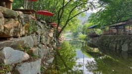 경기도, 불법시설물 철거한 포천 백운계곡 등 3곳 청정계곡 관광명소로 육성