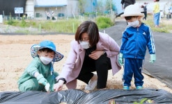 안성시, 도시농업 공공텃밭 개장