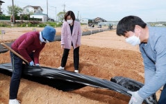 안성시, 도시농업 공공텃밭 개장