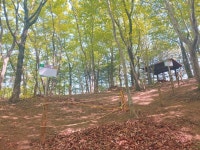 함양 산양삼 웰컴 시범농장 2차 분양