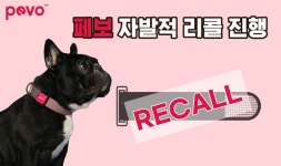 반려동물 헬스케어 서비스 기업 페보, 디바이스 스트랩 무상교체 리콜 진행