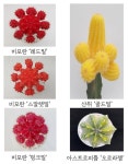 경기도농업기술원, 비모란 레드밀 등 수출용 접목선인장 신품종 개발