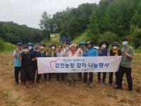 횡성군, 갑천농장 감자나눔 행사