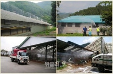 경기도북부동물위생시험소, 폭염예보 속 가축폐사 및 질병차단 총력