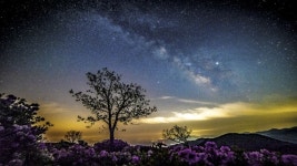 거리두기가 일상이 된 요즘 합천 황매산에서 스테이케이션