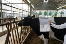연천군, 경기도 한우·젖소 경진대회서 축산농가 2곳 수상