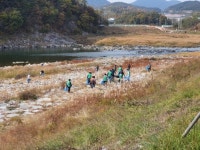 산청읍 주민자치위, 경호강 환경정화 활동
