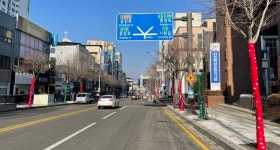 춘천시, 중앙로 계수나무 예쁜 겨울옷 입었어요