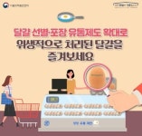 내년부터 업소용 달걀도 선별포장제도 의무화