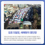 [카드뉴스] 경기 김포시 주요 뉴스 (1월 10일)