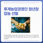 [카드뉴스] 강원 강릉시 주요 뉴스 (1월 10일)