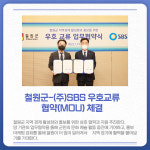 [카드뉴스] 강원 철원군 주요 뉴스 (1월 18일)