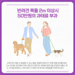 [카드뉴스] 경기 양평군 주요뉴스 (3월 8일)